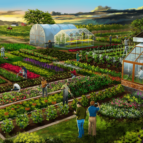 Selected image for a Backyard Markets at Black Forest artisan